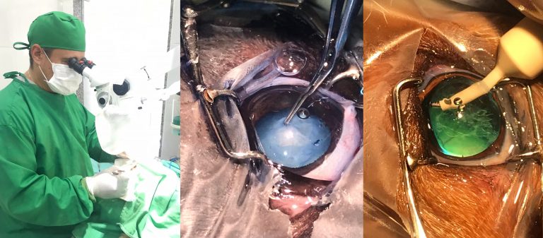 Com oftalmologia de excelência para toda a região, CEVAP oferece cirurgia de catarata