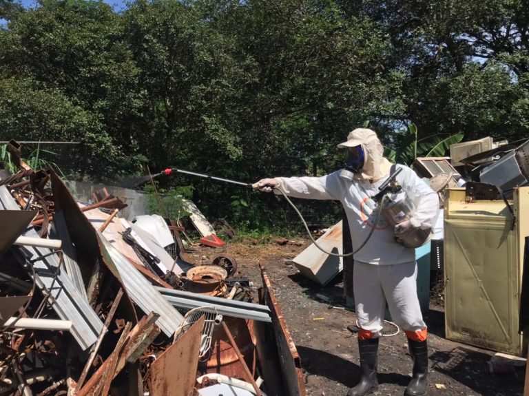 Adamantina ultrapassa 560 casos de dengue