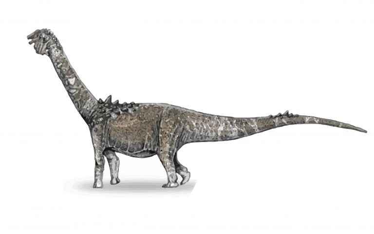 A história do Adamantisaurus mezzalirai, o dinossauro que leva o nome de Adamantina