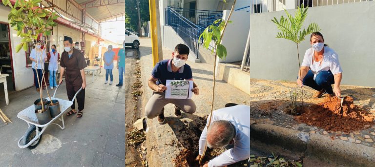 Plantando esperança: Santa Casa realiza plantio de árvores