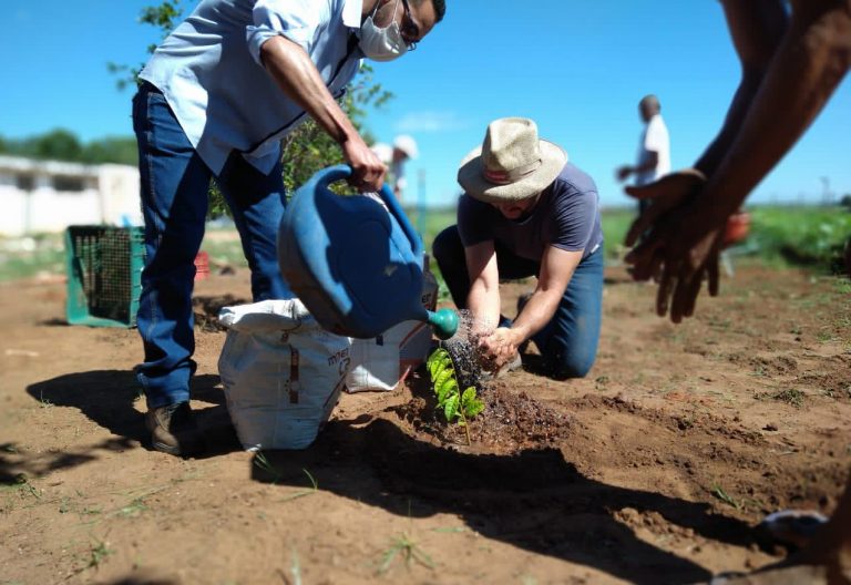Em parceria com o Programa Euroclima+, PAI/Nosso Lar ganha horta e pomar na área de recreação dos pacientes