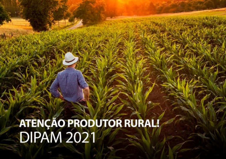 Produtores rurais têm até 31 de maio para apresentar talões de notas para preenchimento da DIPAM