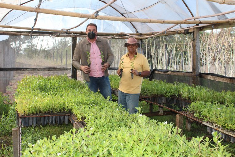 Espaços verdes de Adamantina começam a ser recuperados em projeto de paisagismo