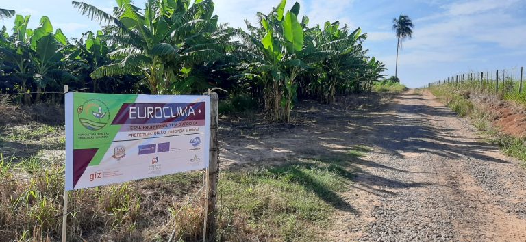 Assistência técnica disponibilizada gratuitamente pelo Euroclima+ aos produtores de Adamantina gera aumento de 25% na produção