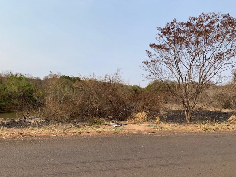 Temperaturas devem continuar subindo em São Paulo