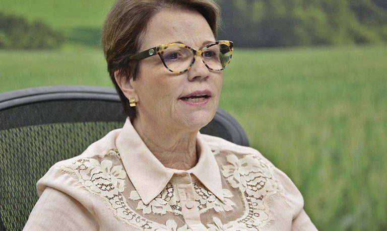 Governo usará COP26 para melhorar imagem da agropecuária brasileira