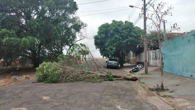 Lucélia também decreta situação de emergência após temporal