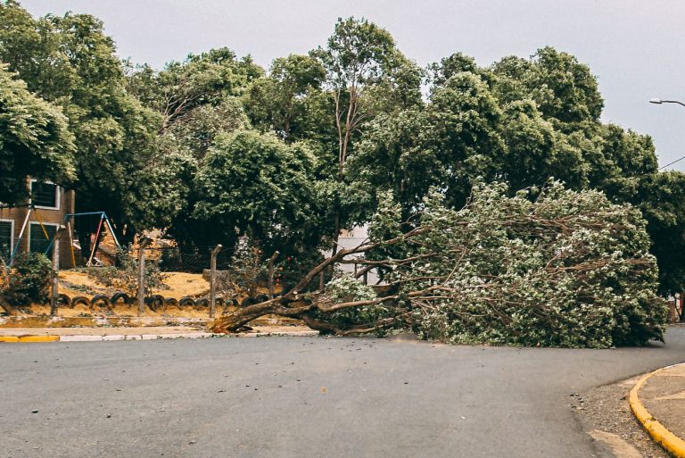 Três dias após temporal, Adamantina decreta situação de emergência