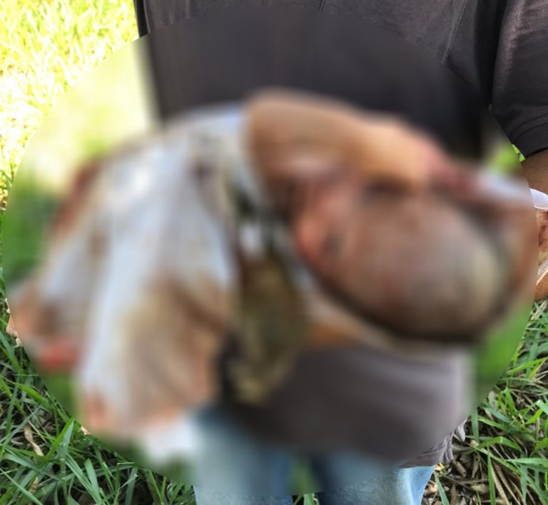 Mãe é presa em flagrante por tentativa de homicídio após abandonar bebê recém-nascida em pasto em Emilianópolis