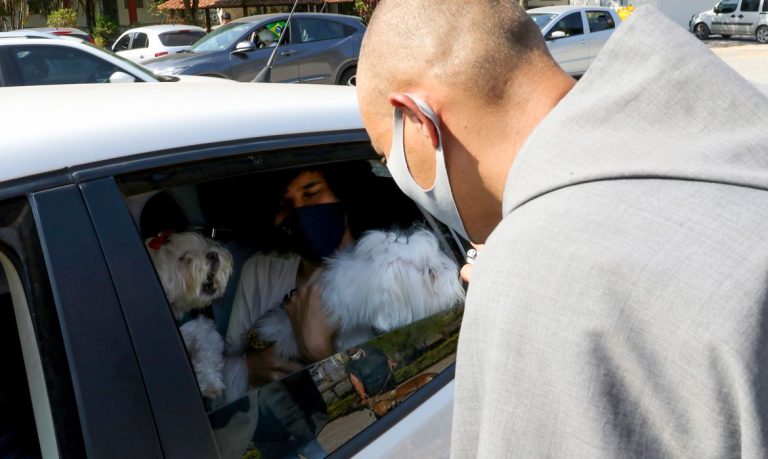Latam suspende venda de transporte de pets no porão das aeronaves