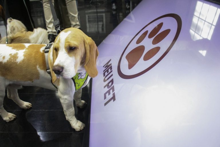 Osvaldo Cruz é uma das 14 cidades a receber container para clínica de atendimento de cães e gatos entre os 645 municípios paulistas