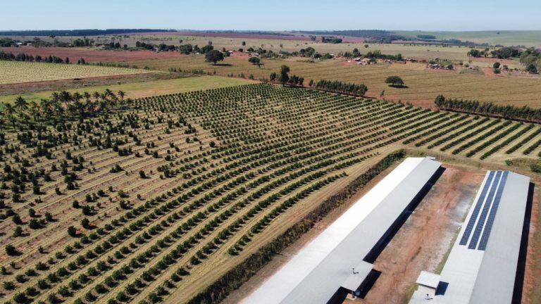 Sicredi registra crescimento de mais de 110% no financiamento para instalação de painéis de energia solar