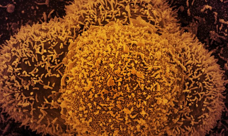 País segue tendência estável de transmissão da covid-19