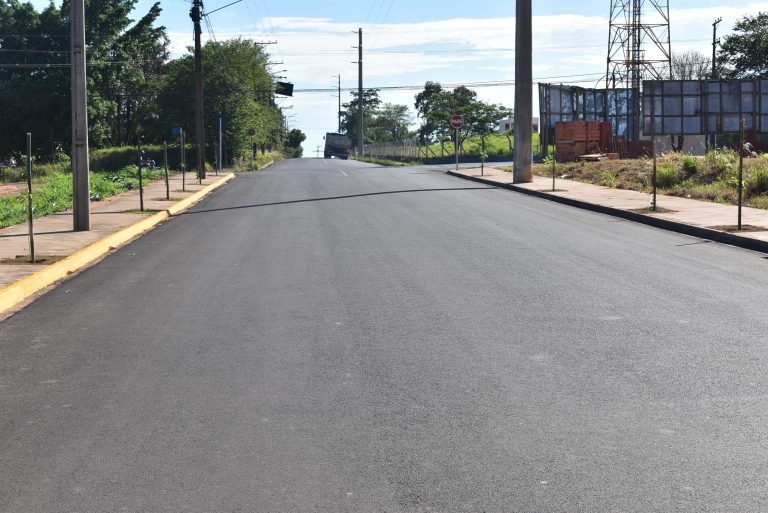 SAAMA implanta novo piloto de Floresta Urbana