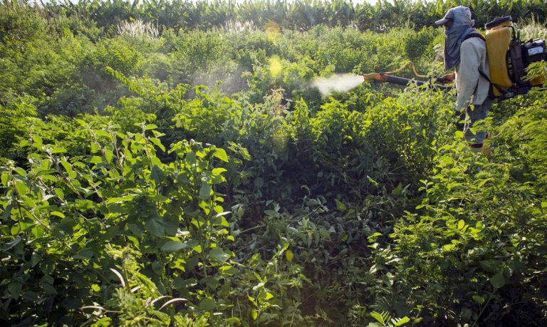 Câmara aprova mudança em prazo para registro de agrotóxicos