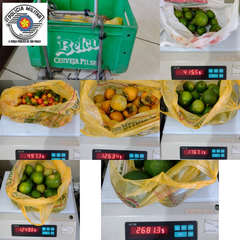 Homem é preso acusado de roubar frutas de propriedade rural de Osvaldo Cruz