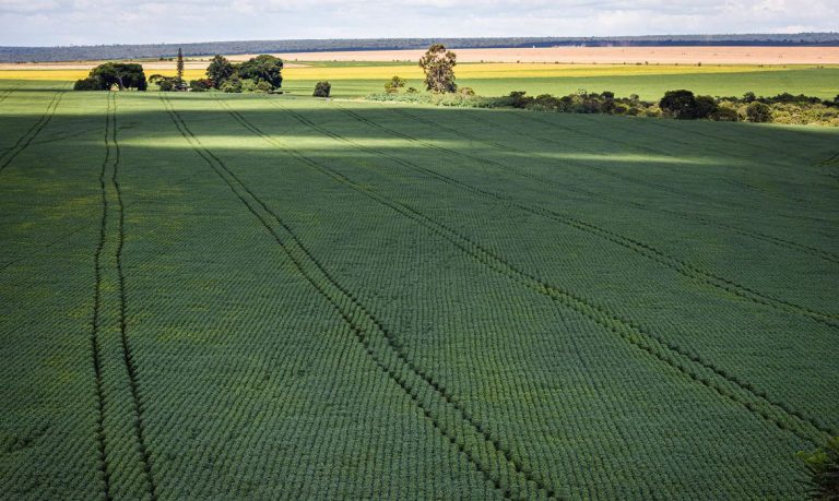 Ipea reduz previsão de PIB agropecuário de 2022 do país para 1%