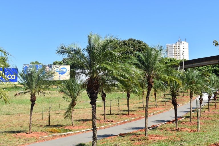 Avançam as obras para criação de praça na Avenida Antônio Tiveron