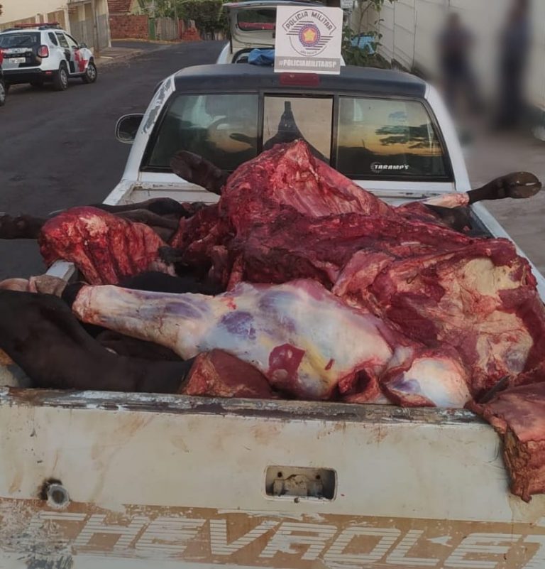 Quatro pessoas são presas por furto e abate de animais