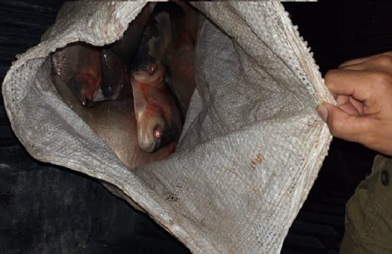 Homem tenta furtar peixes de represa e ameaça proprietário