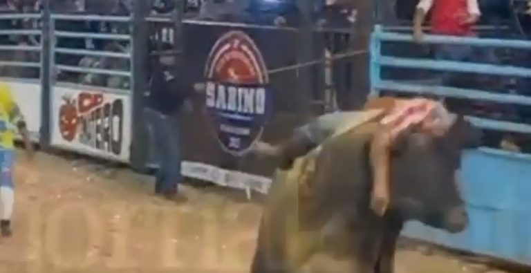Peão bate a cabeça em touro, cai e é pisoteado na região