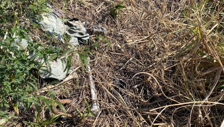 Ossada humana é encontrada em fazenda do interior de São Paulo