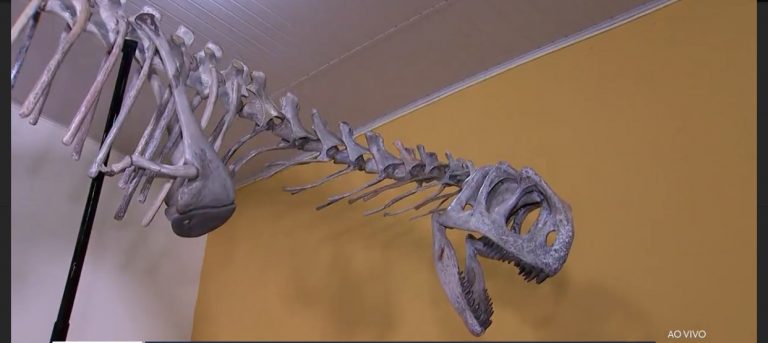 Cientistas descobrem nova espécie de dinossauro anão no interior de SP