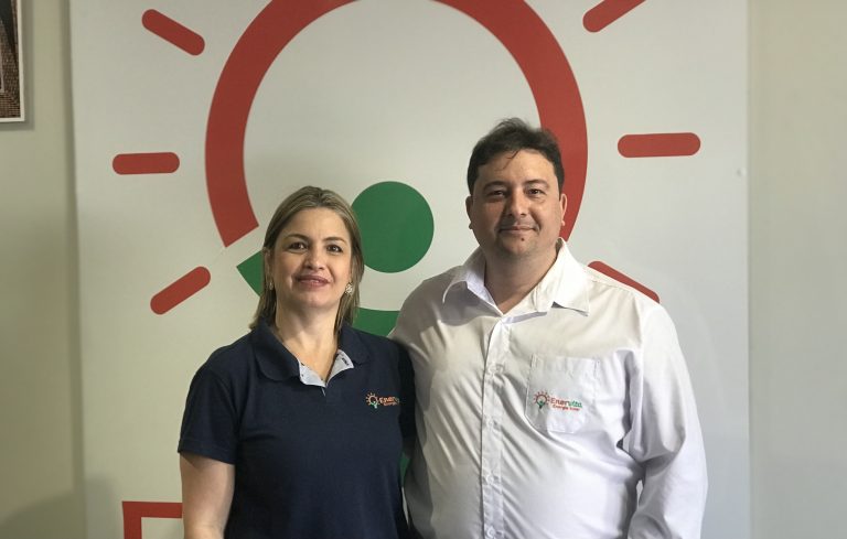 Enervita: usina solar fotovoltaica de alta qualidade, preço justo e pleno   funcionamento