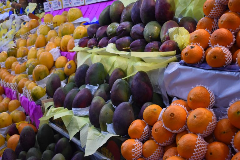 Com sucesso nas vendas, expositores confirmam participação na edição de 2023 da ExpoVerde