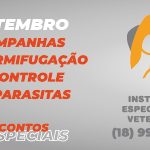 site menor_Prancheta 1