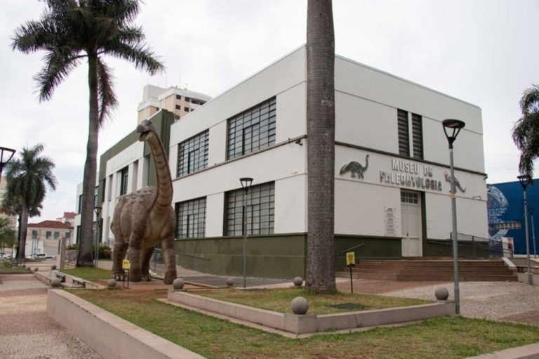 ‘Jurassic Park brasileiro’: Museu de Paleontologia reabre as portas no interior de SP após quatro anos