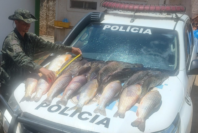 Polícia Ambiental apreende mais de 70kg de peixes no Salto Botelho