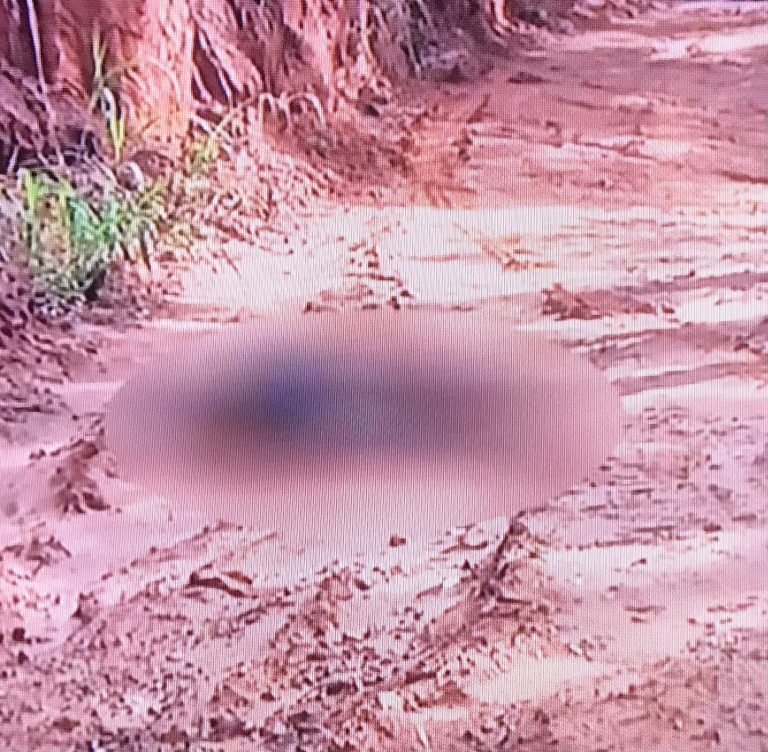 Idoso é morto em roubo na região