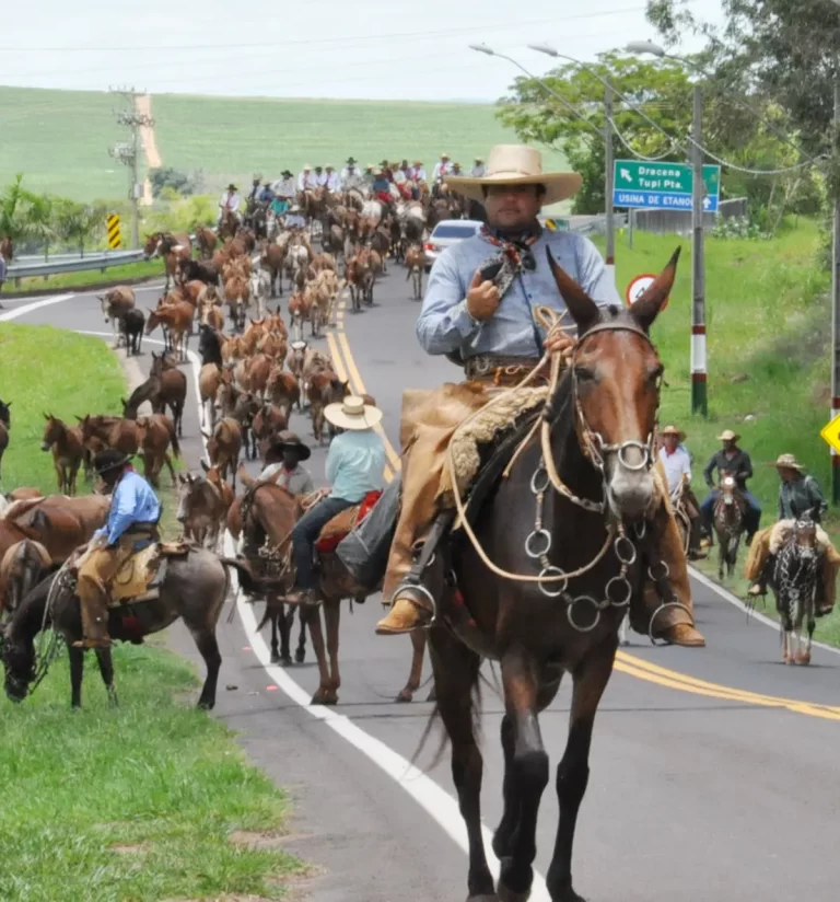Flórida Paulista recebe a grande “Cavalgada do Eduardinho e Amigos” hoje