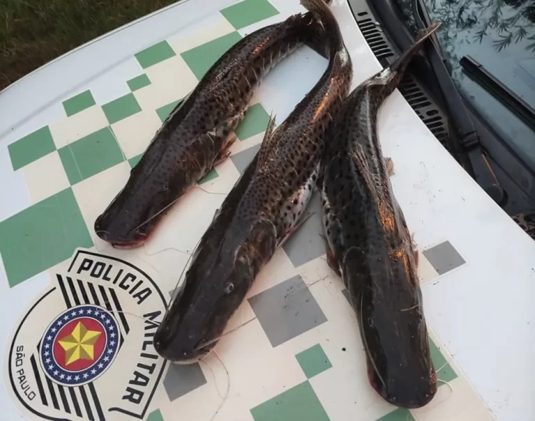 Homens são autuados por pesca predatória no Salto Botelho
