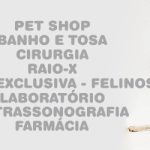 site maior 2_Prancheta 1