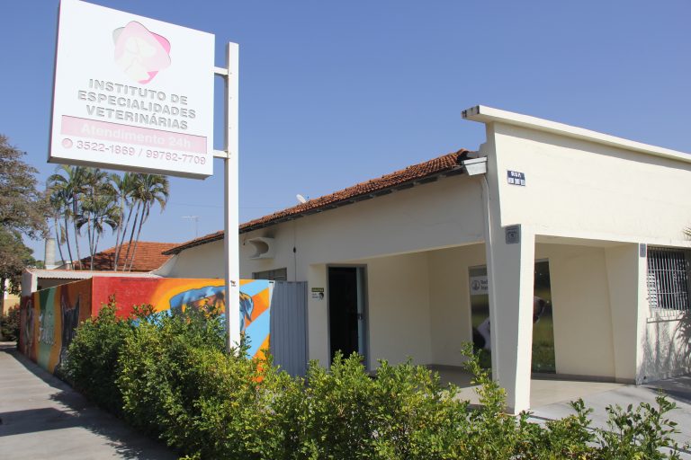 Campanha do IEV ressalta a importância da castração de cachorros