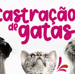 79268636523a0709e51b8f226379fd4b