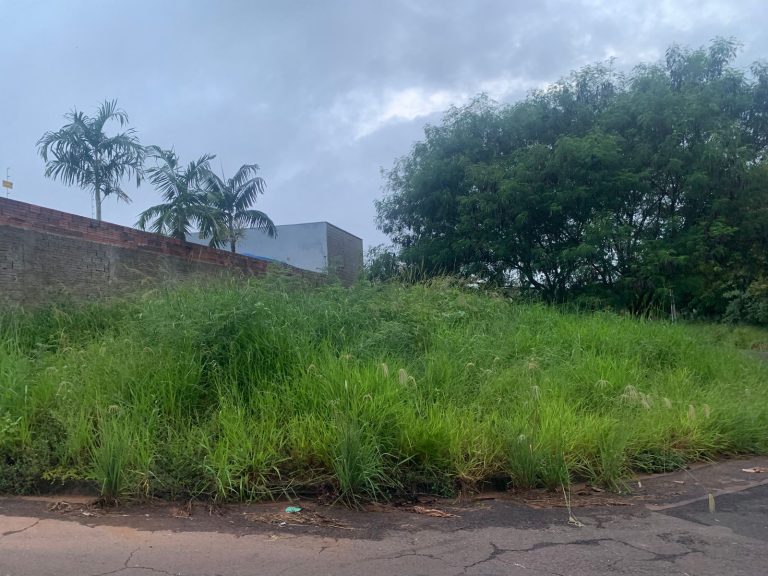 População reclama de terrenos baldios com mato alto em Adamantina