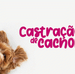 0e604f4925fd79ebe371937e52d9e660