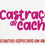 IEV_site_maior_abril