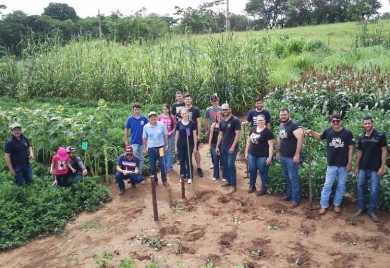 Programa Inovação & Desenvolvimento Regional promove ações com alunos dos cursos de Agronomia e Veterinária