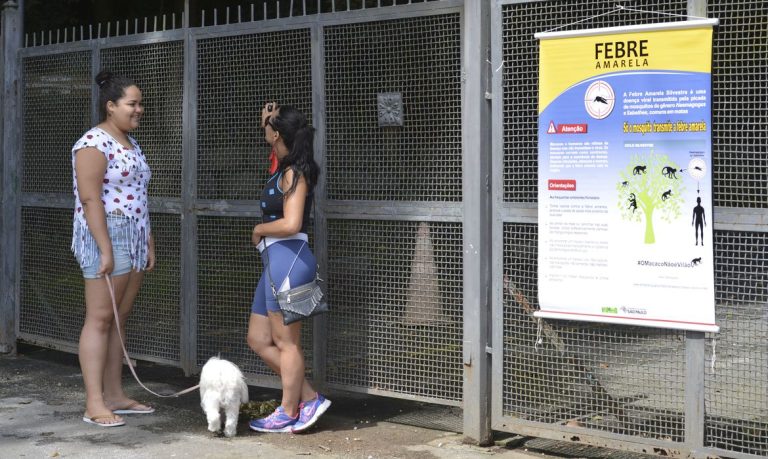 Estado volta a registrar mortes por febre amarela após dois anos sem casos