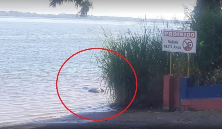 Corpo de homem é encontrado no Rio Paraná