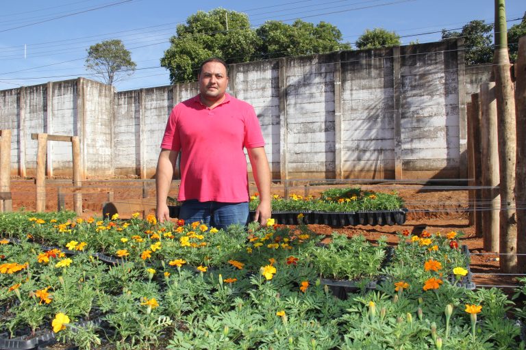 Novo viveiro municipal poderá produzir 300 mil mudas por ano