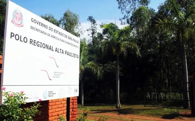 Apta debate culturas de inverno em Adamantina