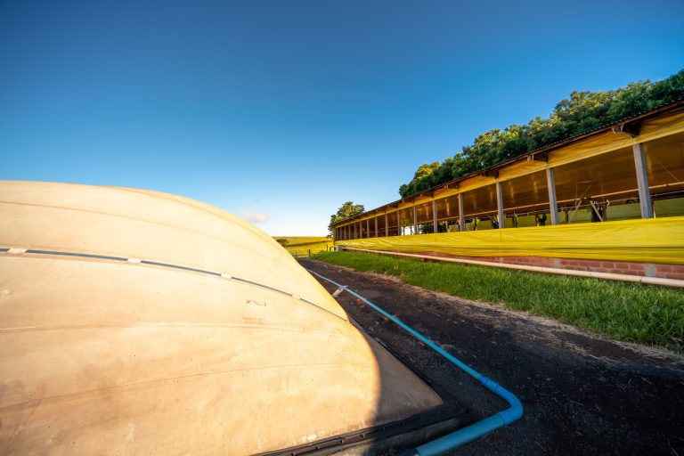ExpoVerde 2023 terá palestra sobre implantação de biodigestores como ferramenta geradora de economia e responsabilidade social