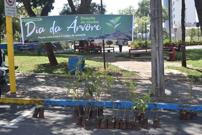 Adamantina distribui mudas de árvores frutíferas gratuitamente na praça Élio Micheloni