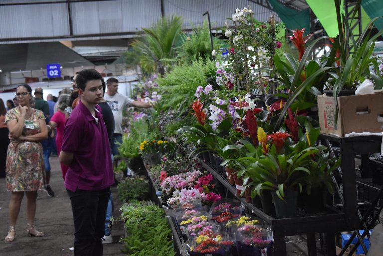Expositores confirmam participação na ExpoVerde 2024