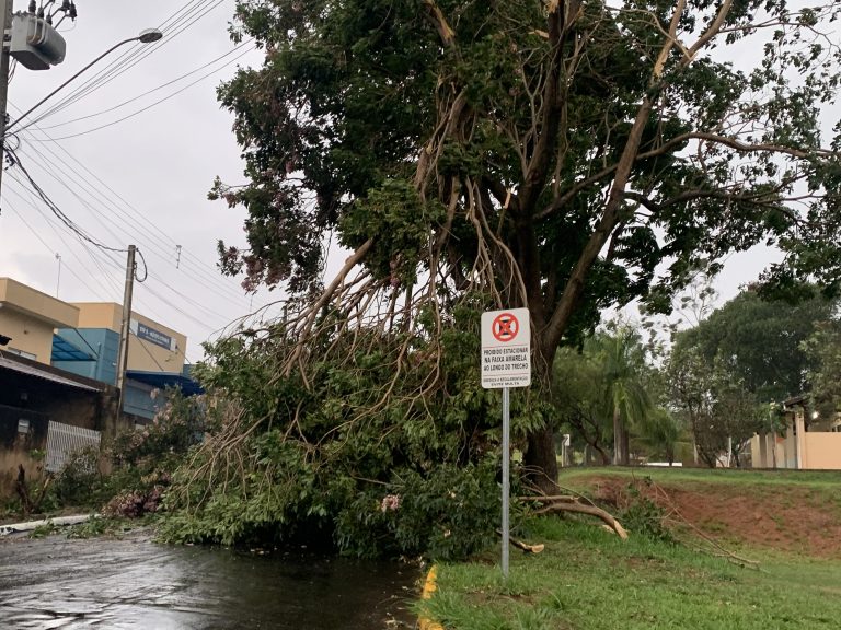 Energisa emite esclarecimento sobre quedas de energia na região